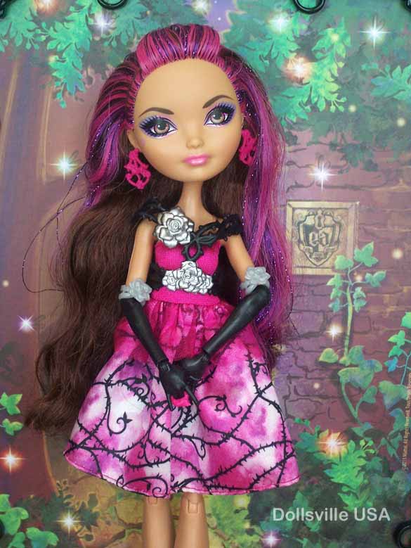 Ever After High Legacy Day Briar Beauty Doll Mattel Shoes Dress Accessories  EAH